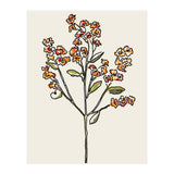 Bunch IV (Print Only) thumbnail