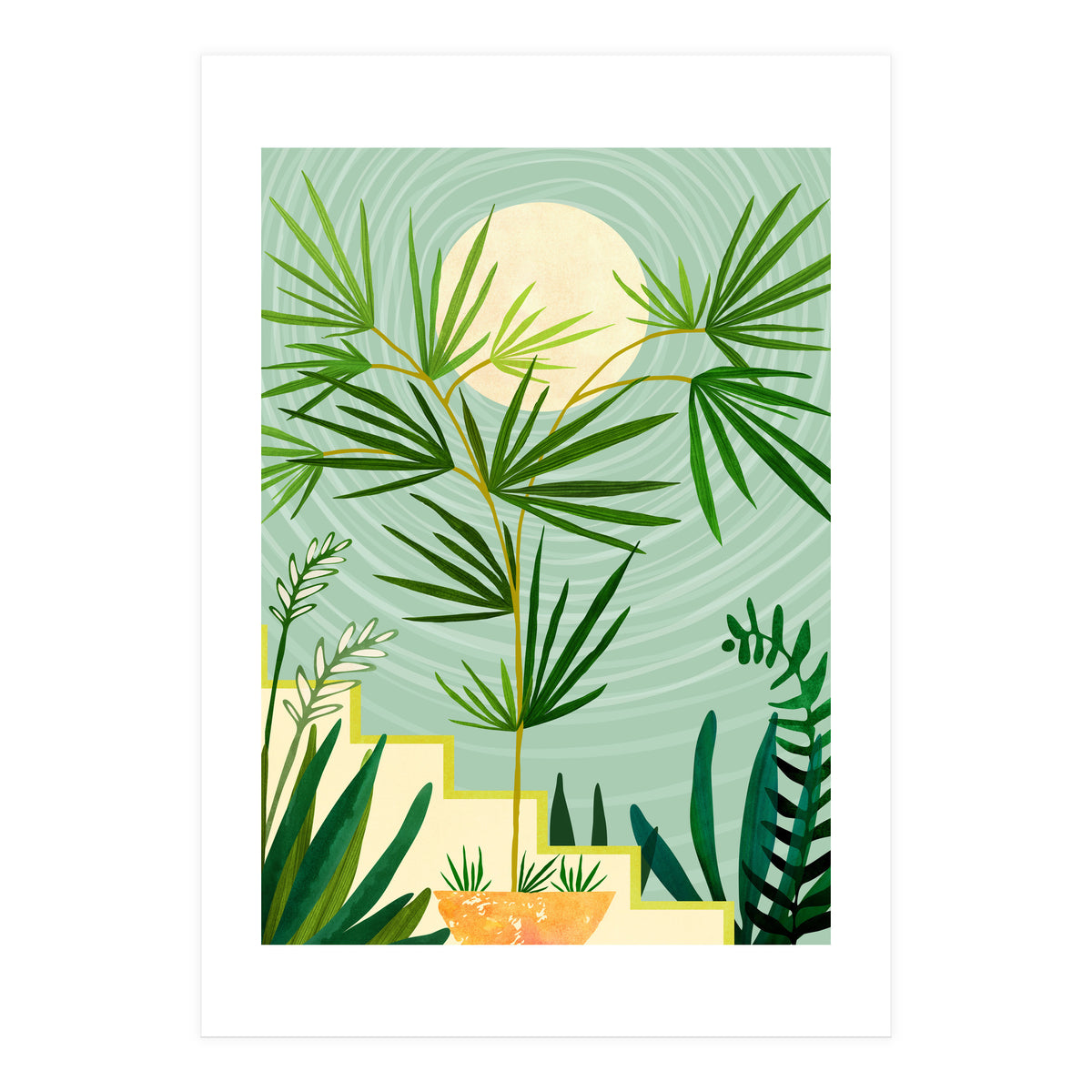 Spring Desert Night (Print Only)