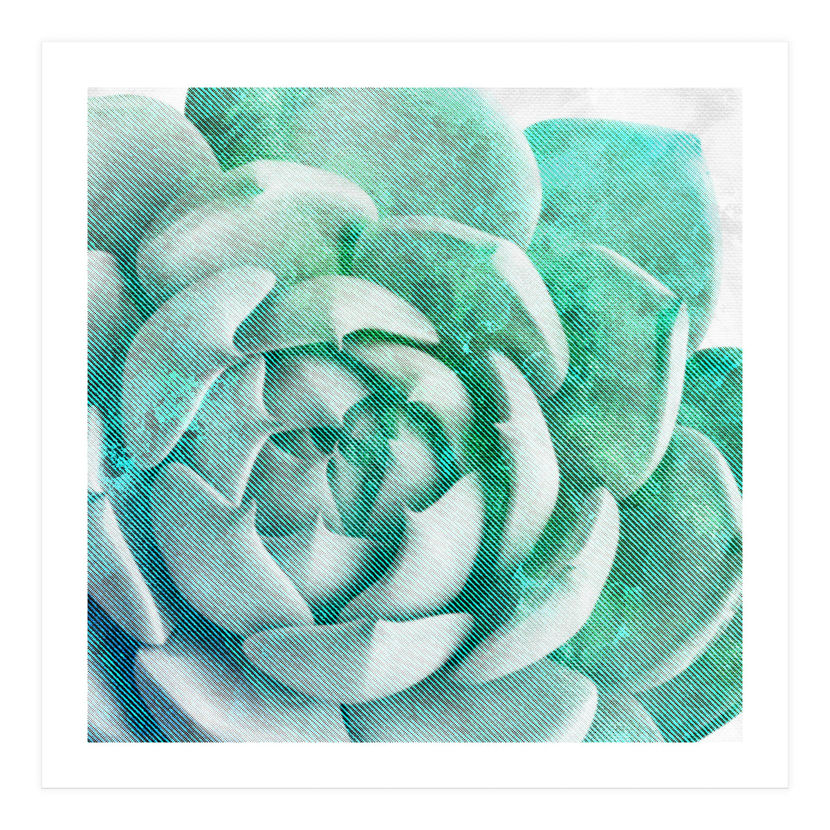 Rough Beauty 1 (Print Only)