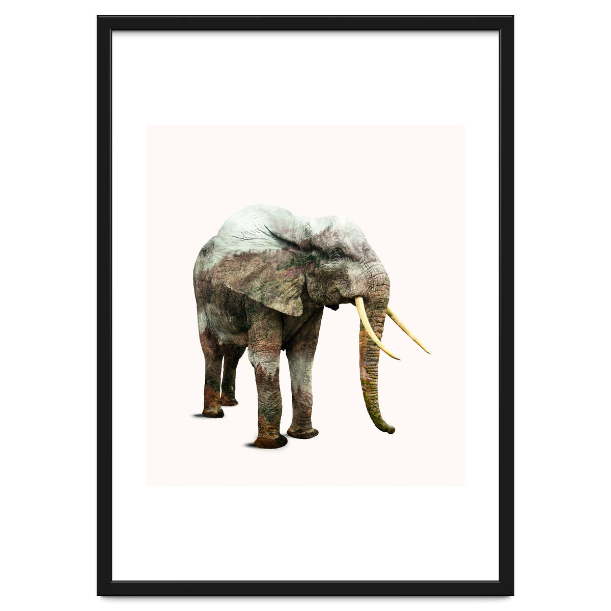 Elephant Transformation