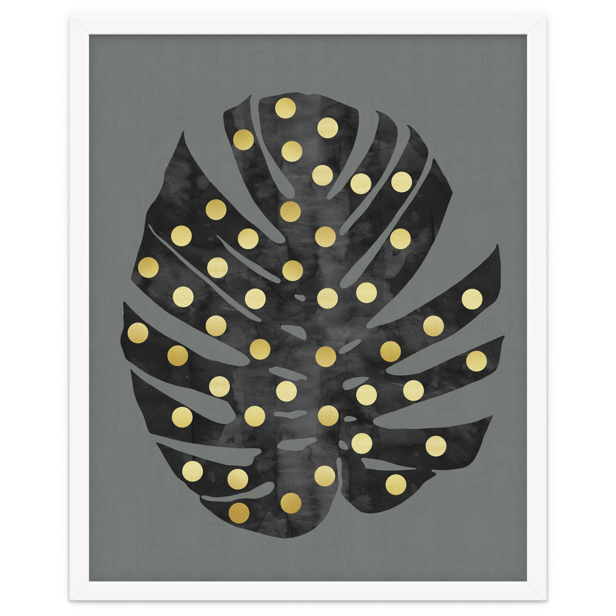 Monstera Deliciosa V