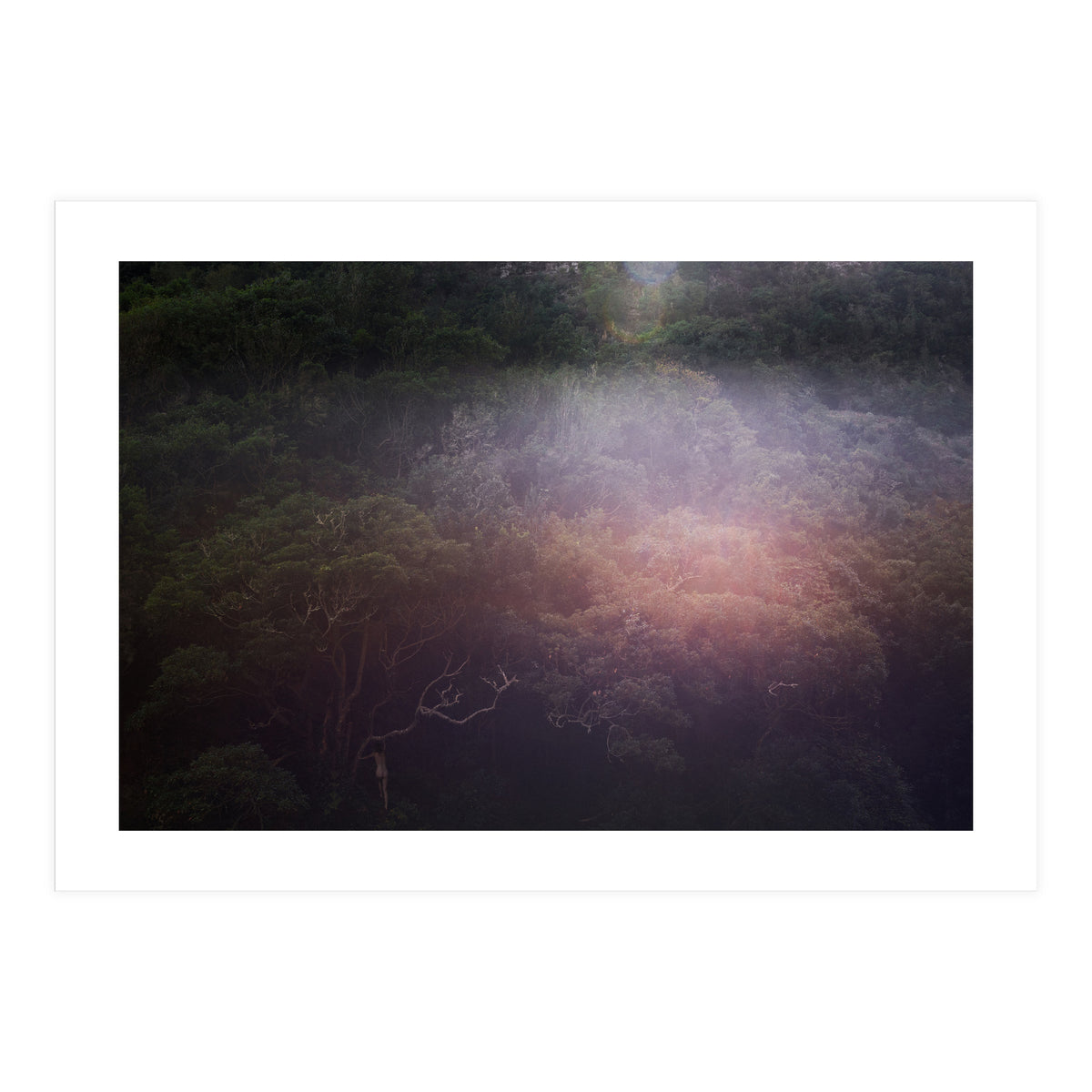 Into the Wild (Print Only)