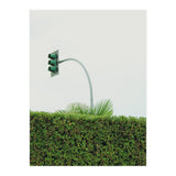 Urban Plant (Print Only) thumbnail