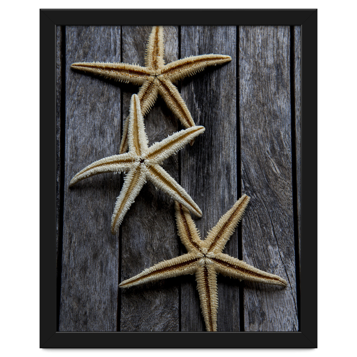 Starfishes in wooden