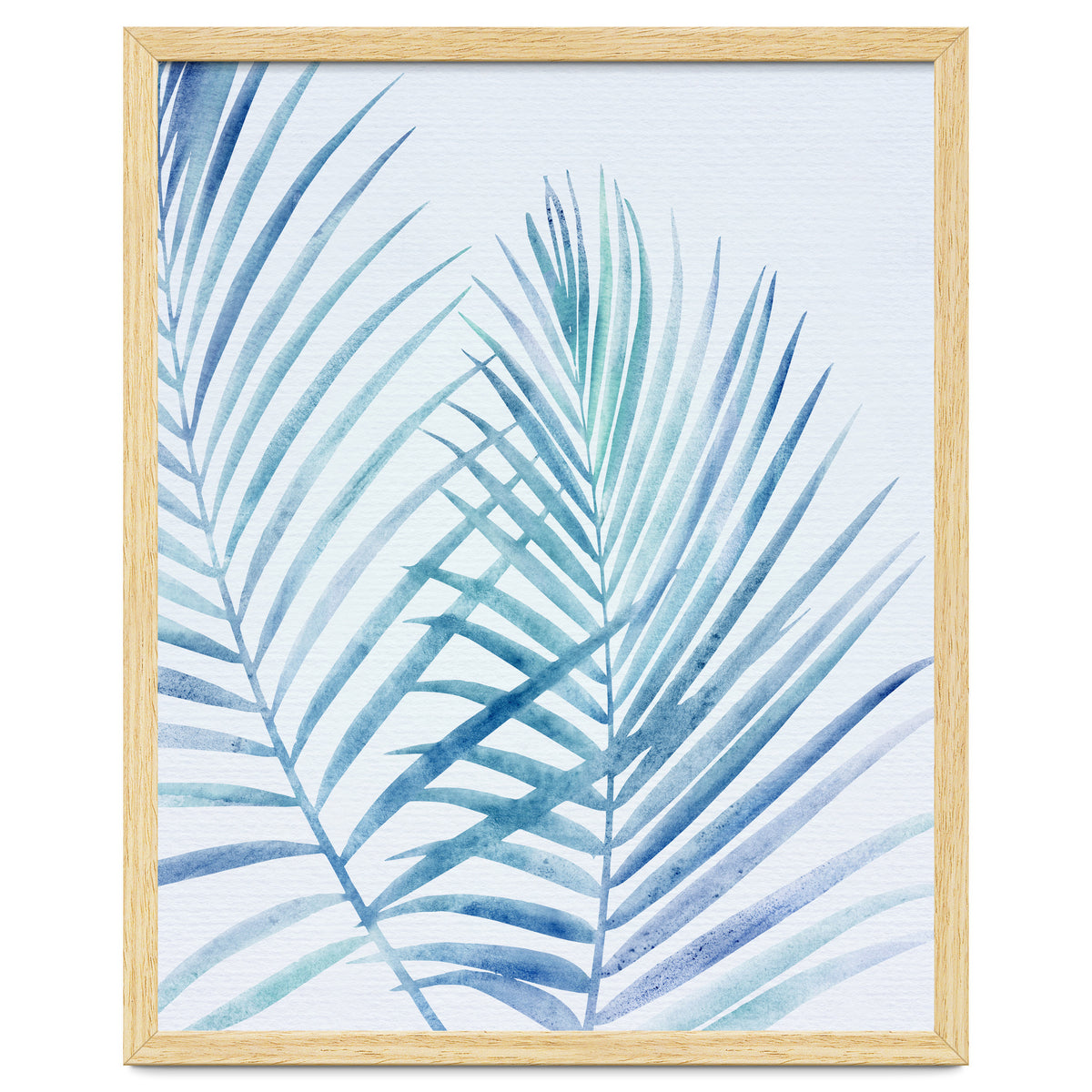 Coastal Palm Fronds