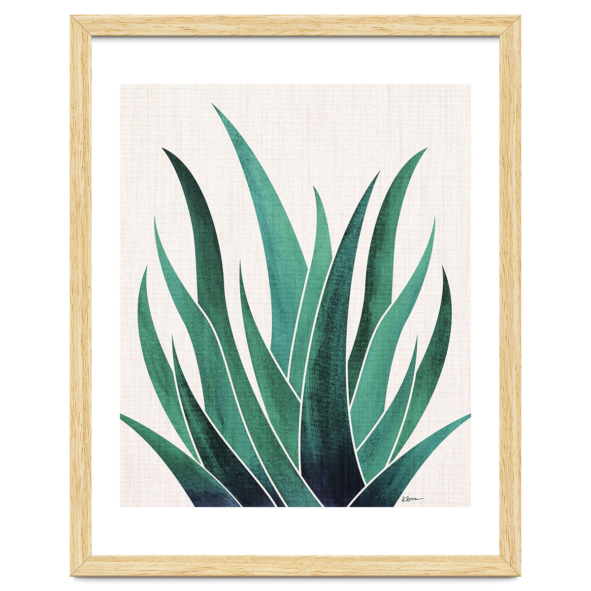 Desert Agave