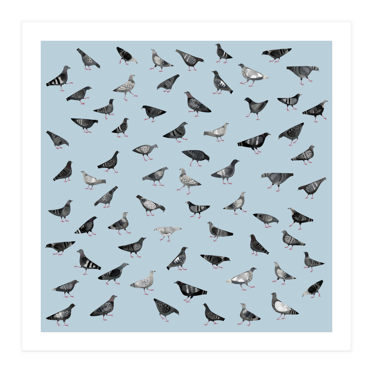 Pigeons Doing Pigeon Things (Print Only)