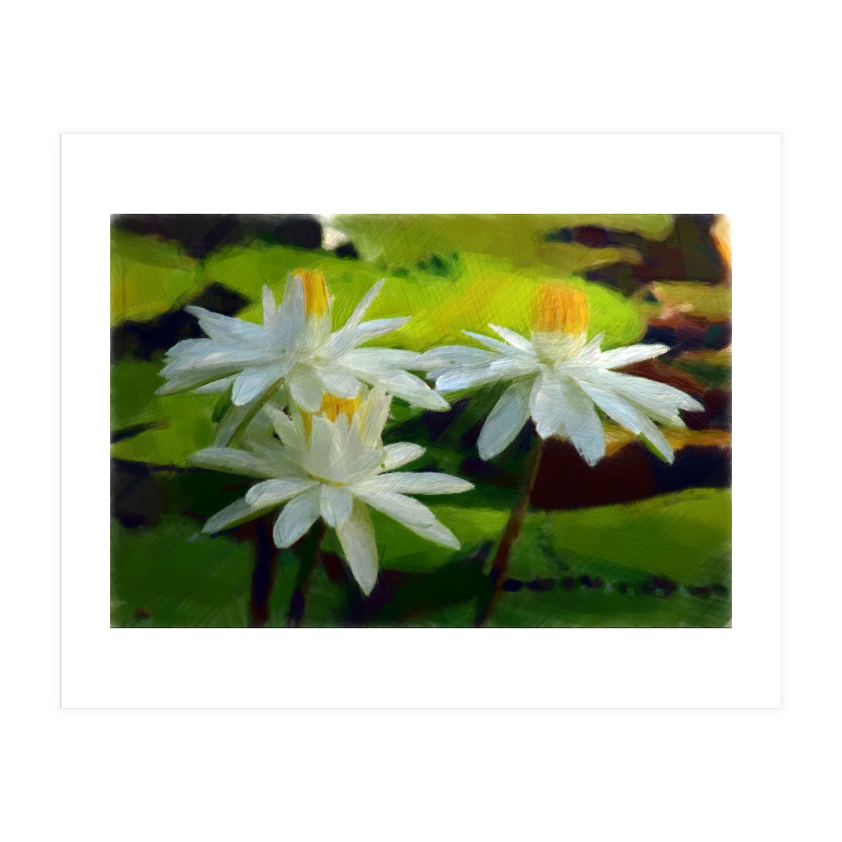 Water Lilies (Print Only)