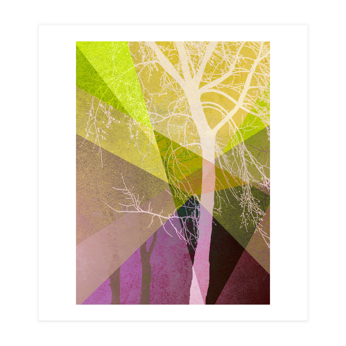 P22 A Trees And Triangles (Print Only)