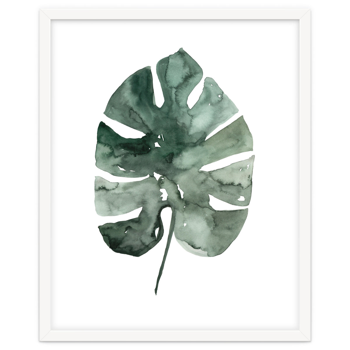 Botanical Illustration Monstera Leaf