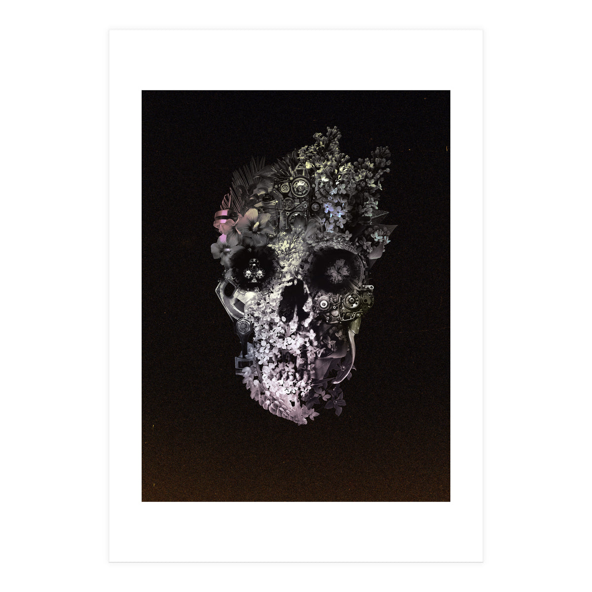 Metamorphosis  (Print Only)