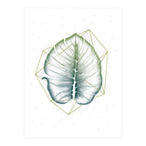 Geometry And Nature II (Print Only) thumbnail