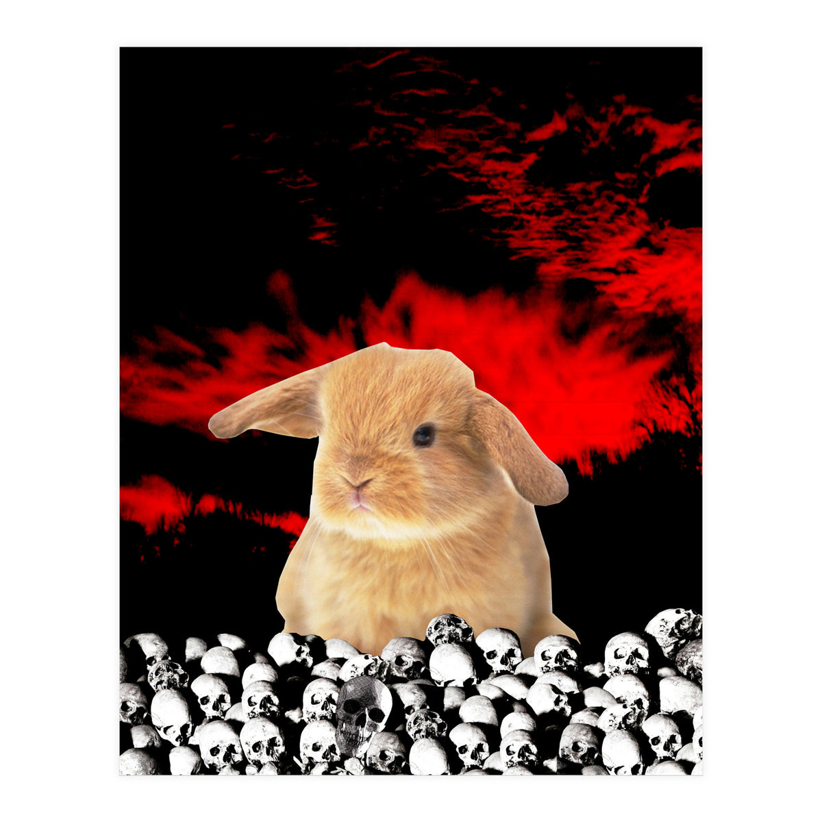 Bunny Of The Apocalypse (Print Only)