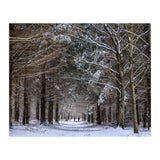 Dog Walkers in the Snow.  Heath Warren - Hampshire (Print Only) thumbnail
