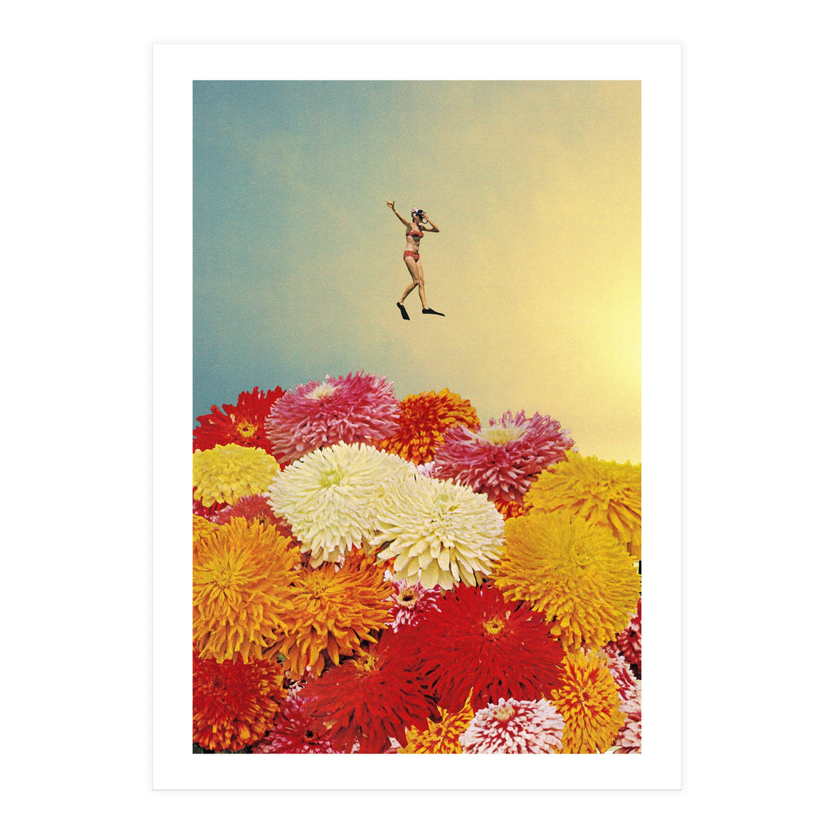 Diver (Print Only)