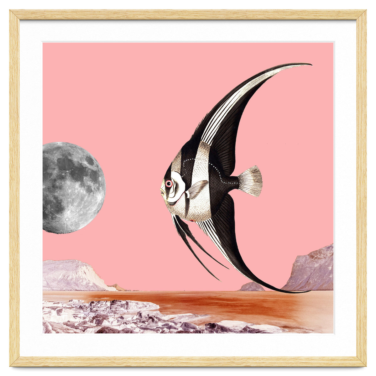 Plenty Of Fish In The Sea Pink