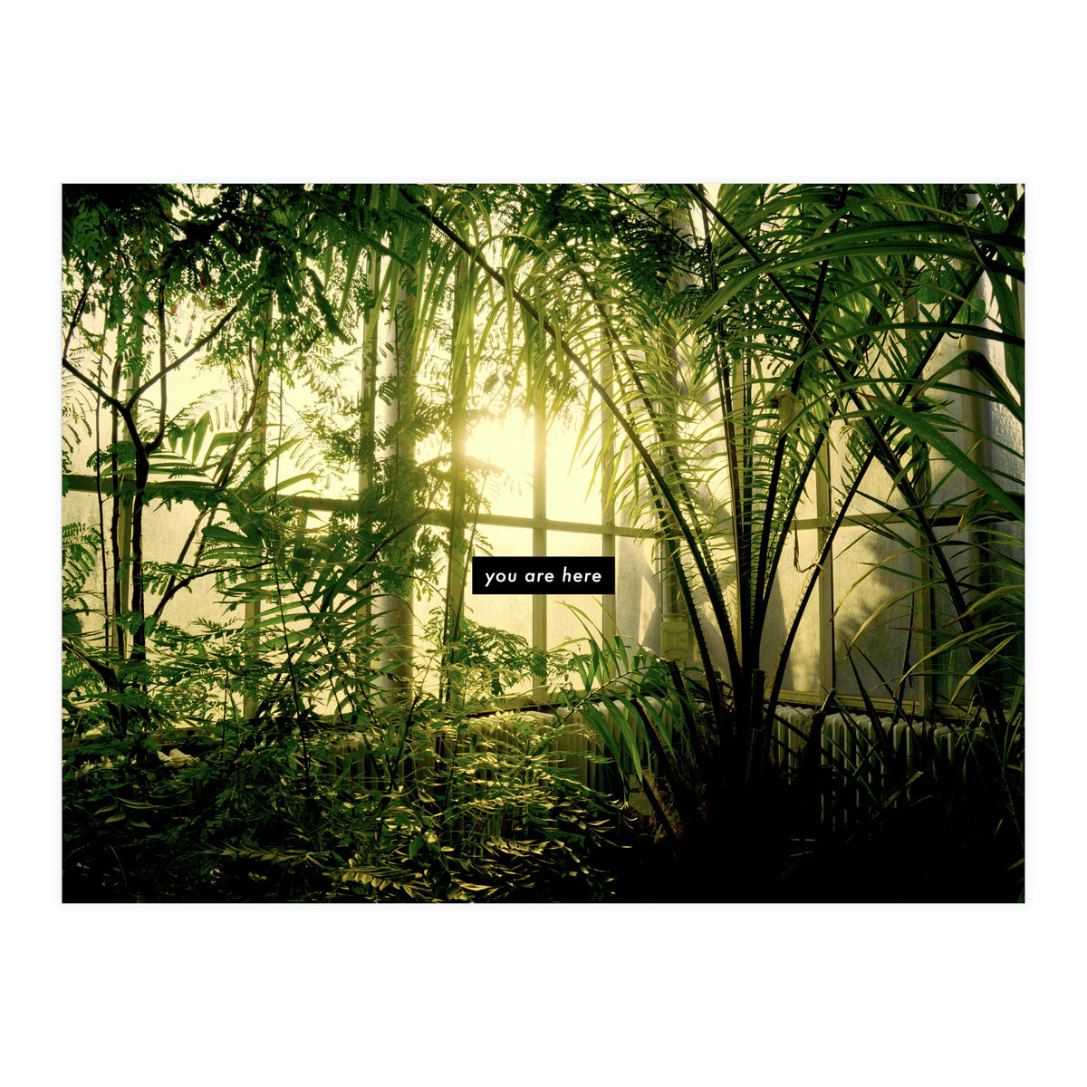 you are here - Nature Photography -  (Print Only)