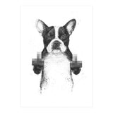 Censored Dog (Print Only) thumbnail
