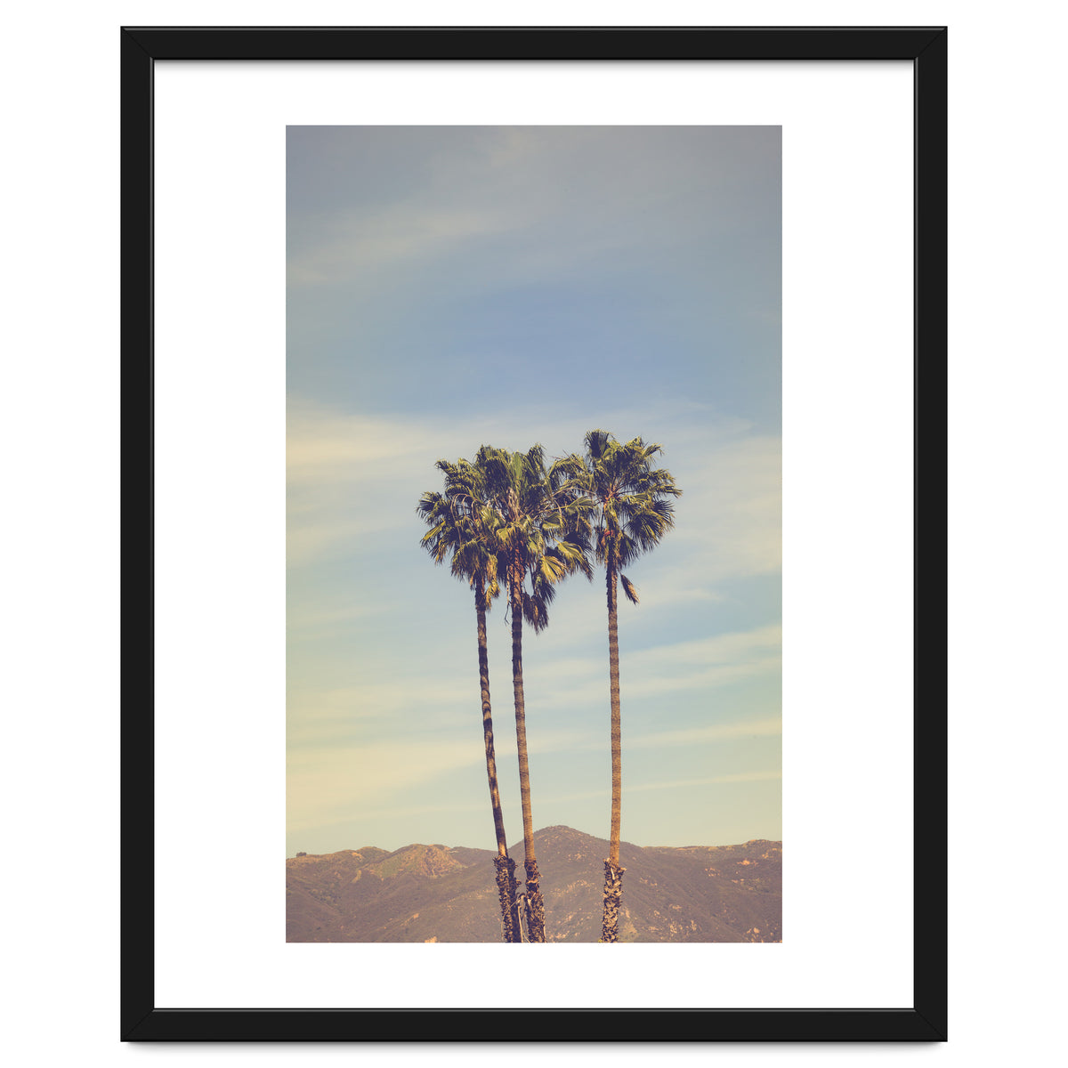 Summer in Los Angeles