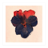 Blue Pansy (Print Only) thumbnail
