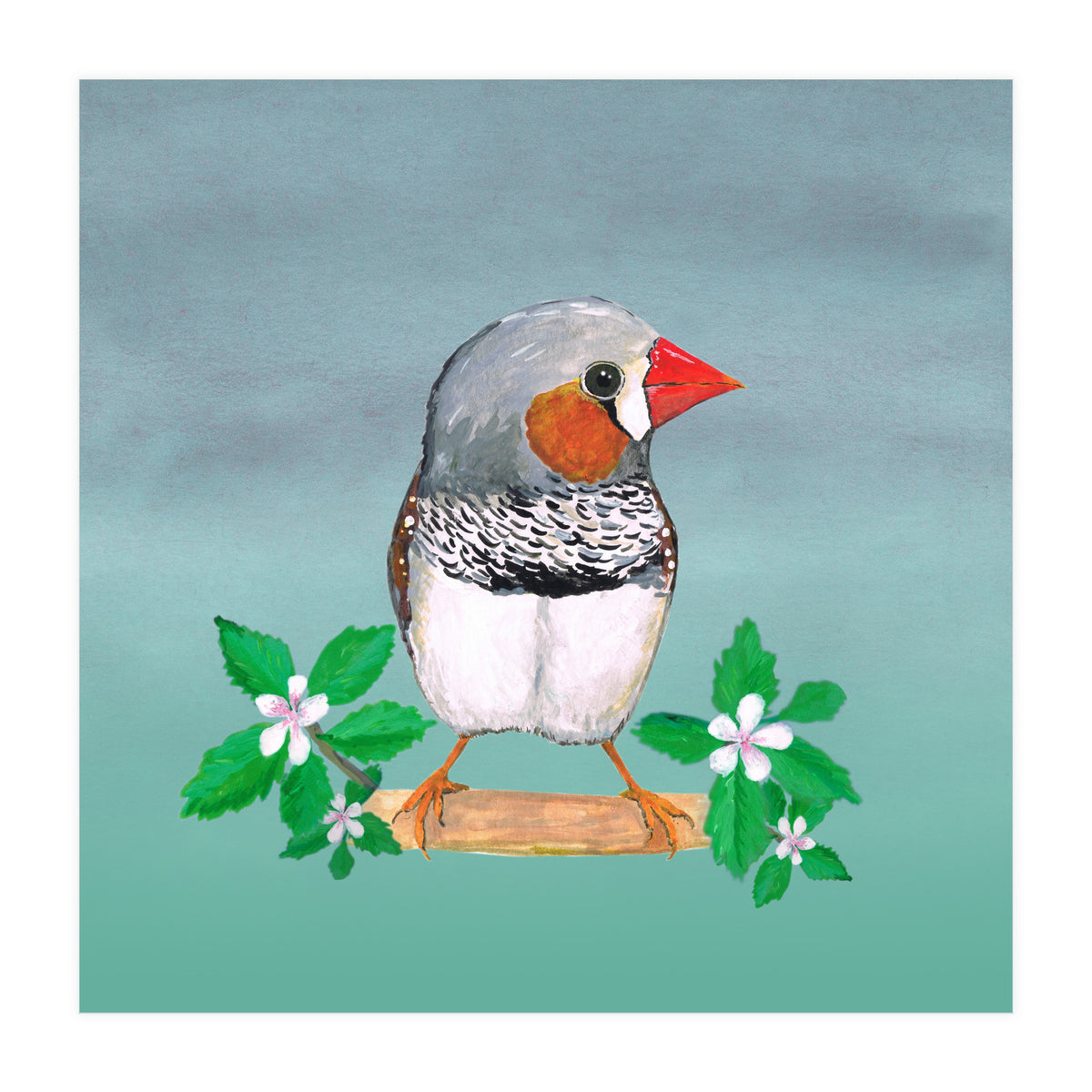 Zebra finch (Print Only)