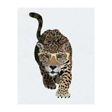 Catwalk Jaguar Wearing Gold Glasses (Print Only) thumbnail