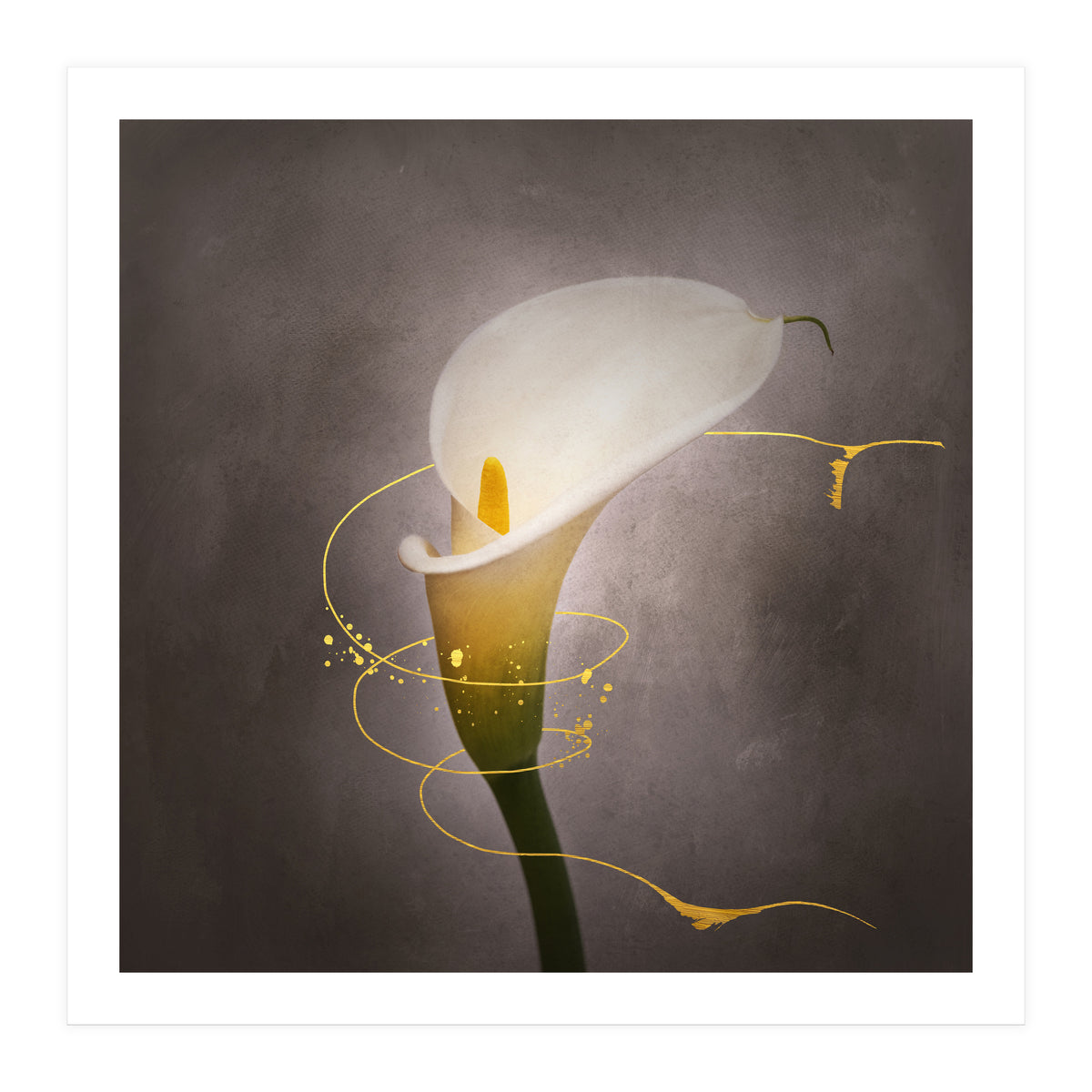 Graceful flower - Calla No. 4 | vintage style gold (Print Only)