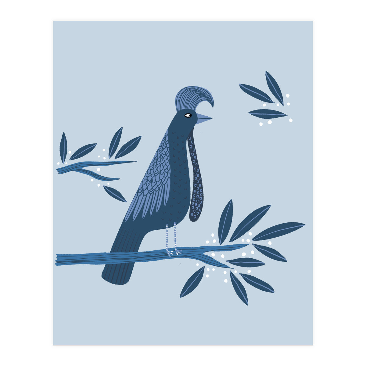 Umbrellabird (Print Only)