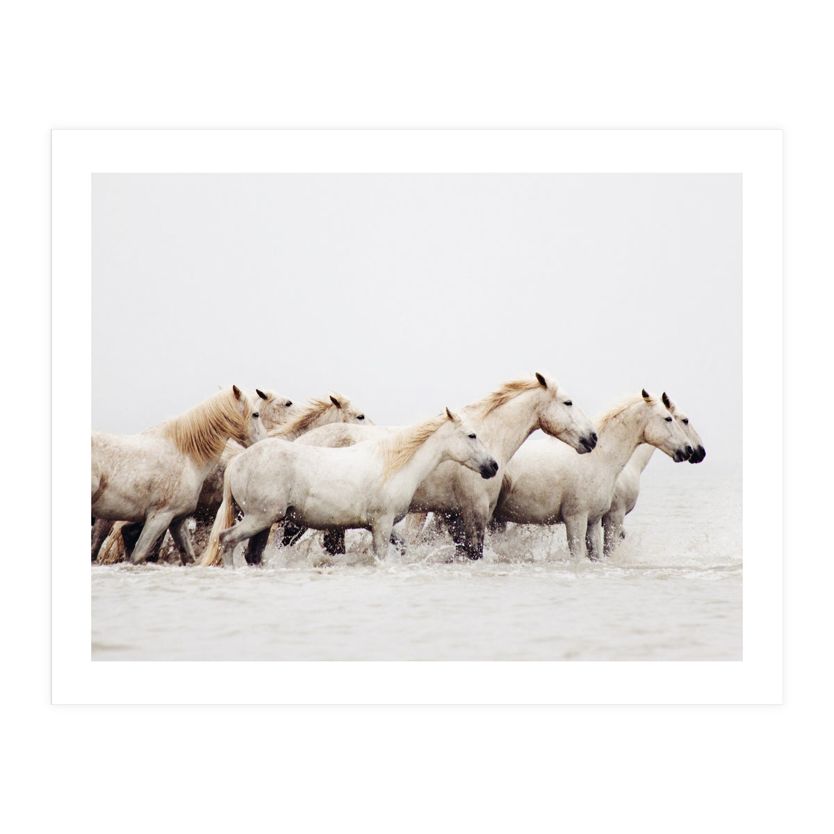 White Horses - Nature Photography (Print Only)