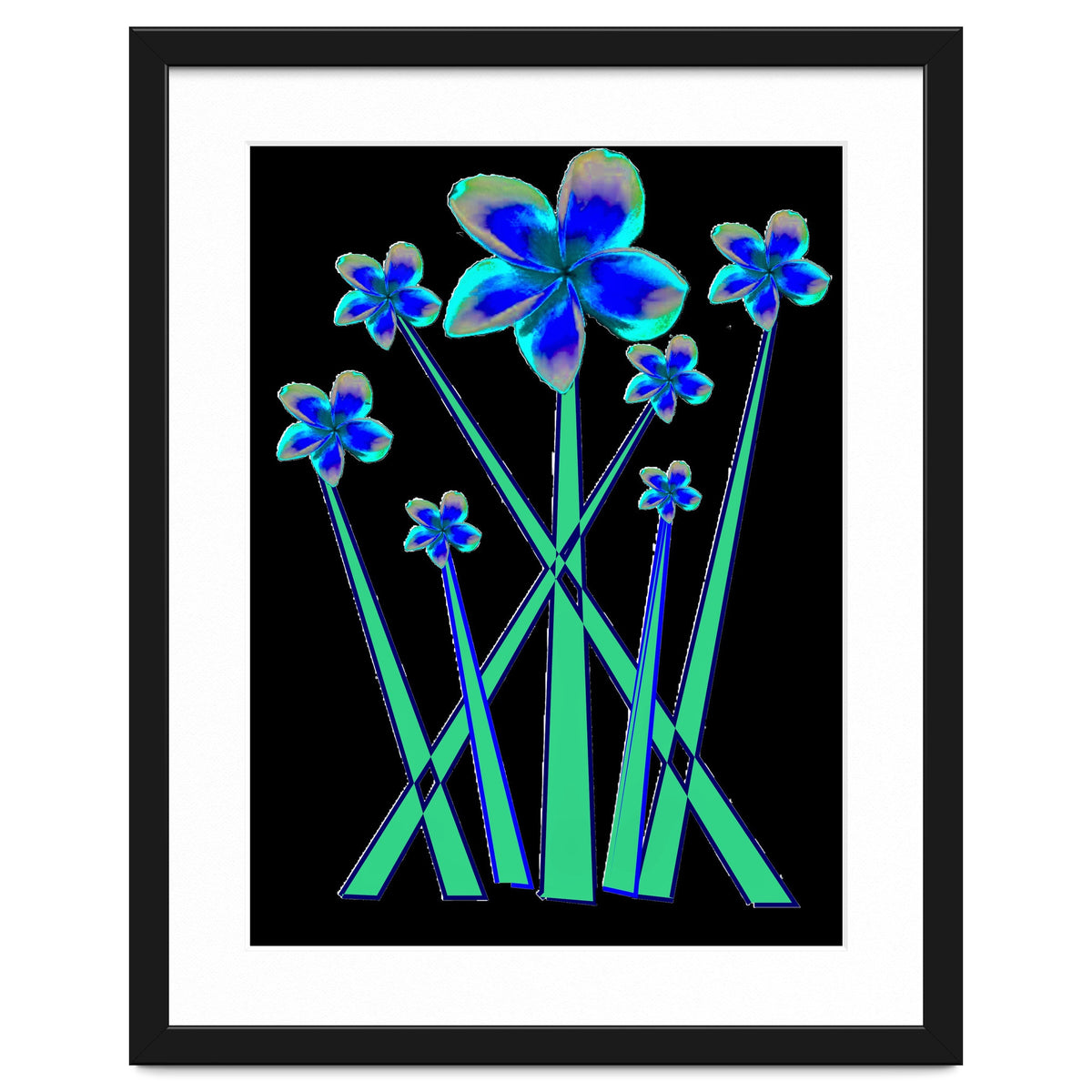 Blue flowers on black.