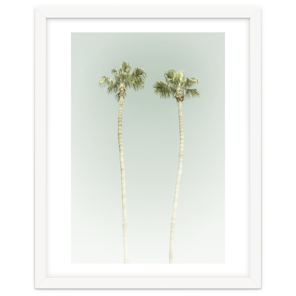 Vintage Palm Trees