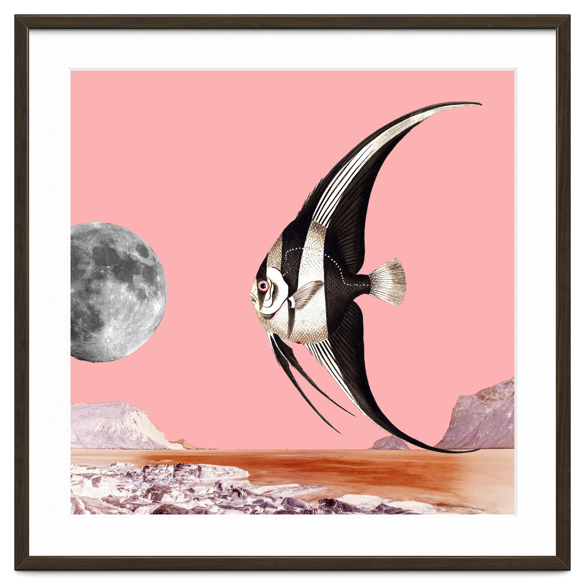 Plenty Of Fish In The Sea Pink