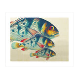 Fish Classic Designs 3 (Print Only) thumbnail