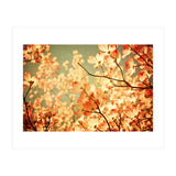 Vintage Pink (Print Only) thumbnail