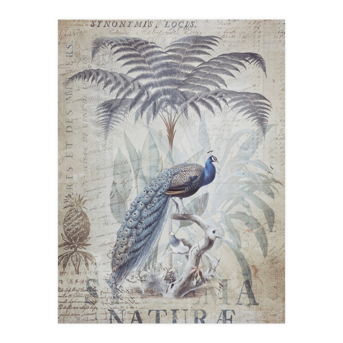 Peacock Jungle (Print Only)