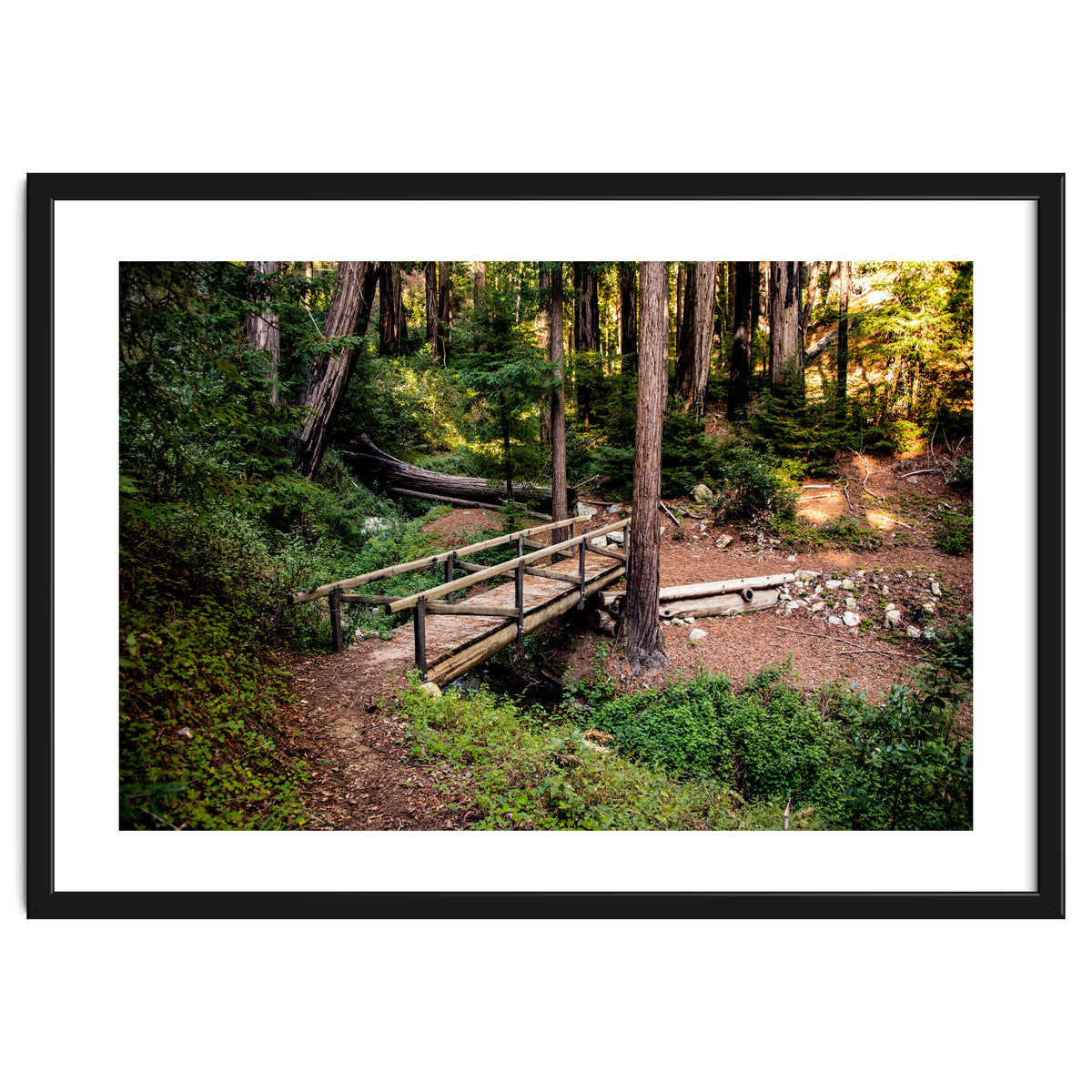 Ewoldsen Loop Bridge