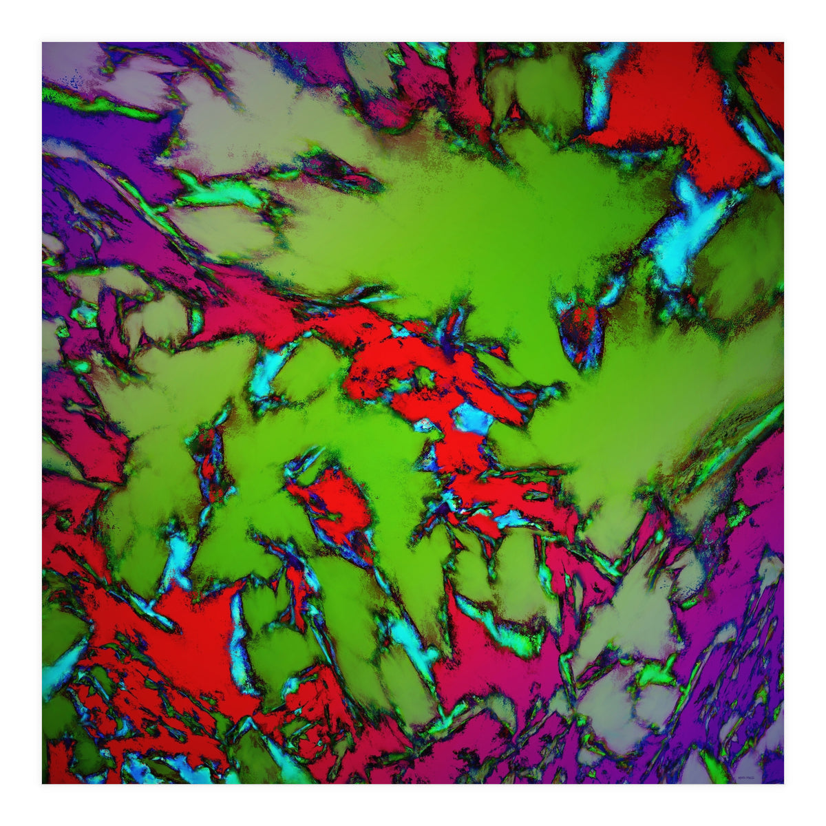 Enclosed Gardens (Print Only)