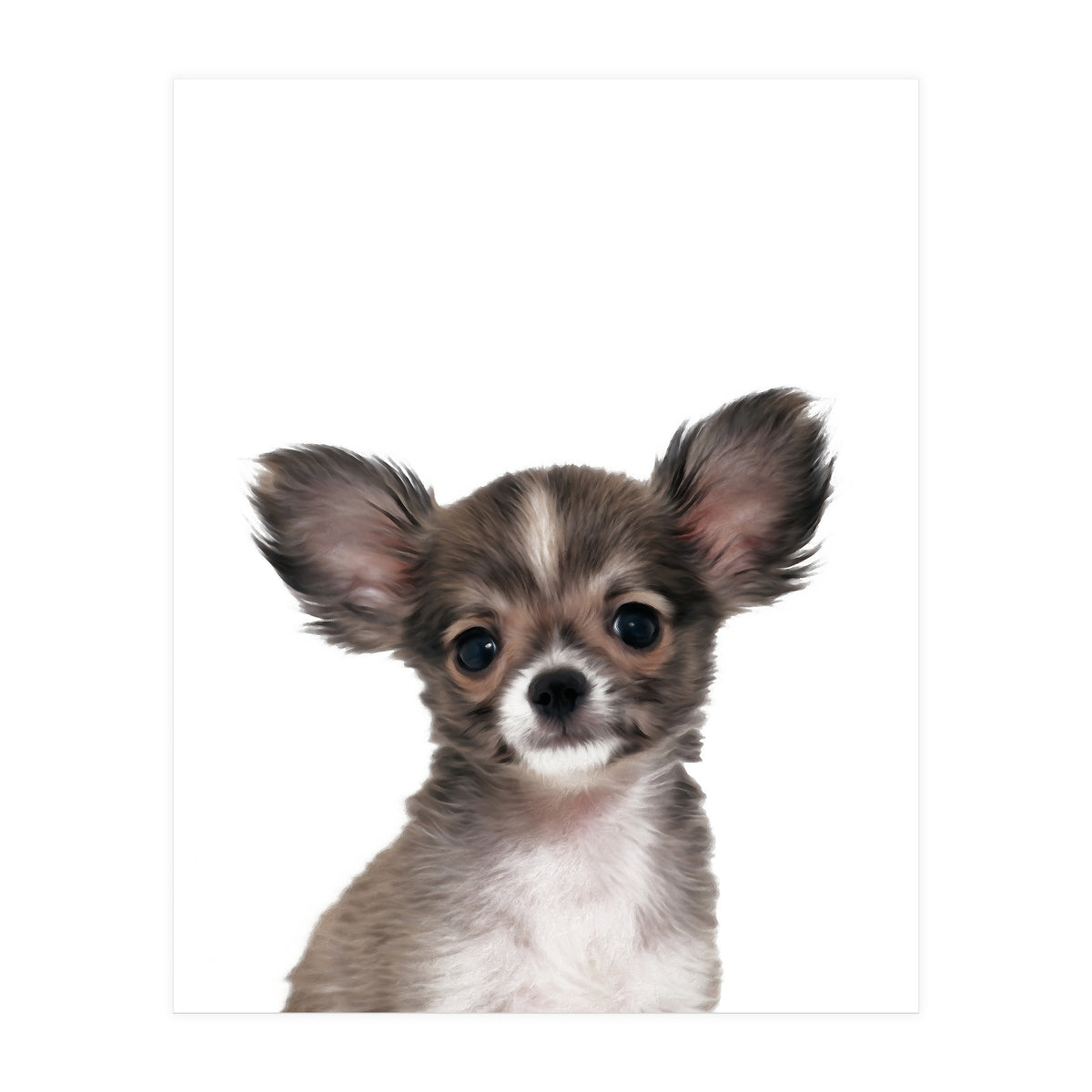 Chihuahua (Print Only)