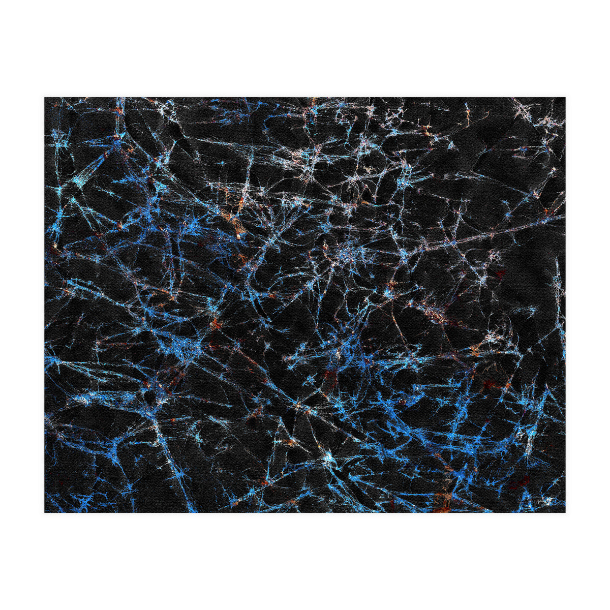 Blue Web  (Print Only)