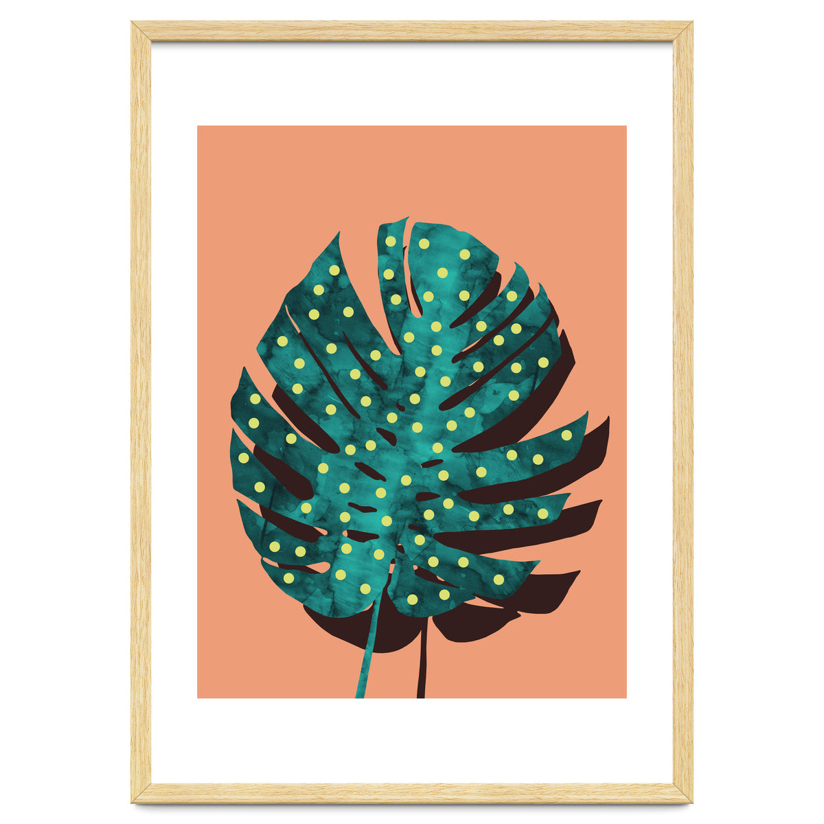 Monstera Deliciosa IV