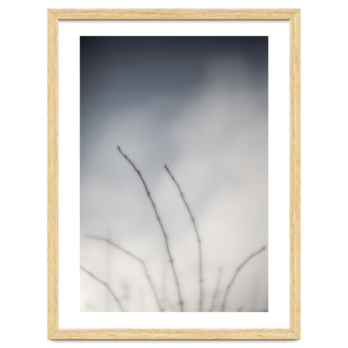 Forgotten Memories of summer #18