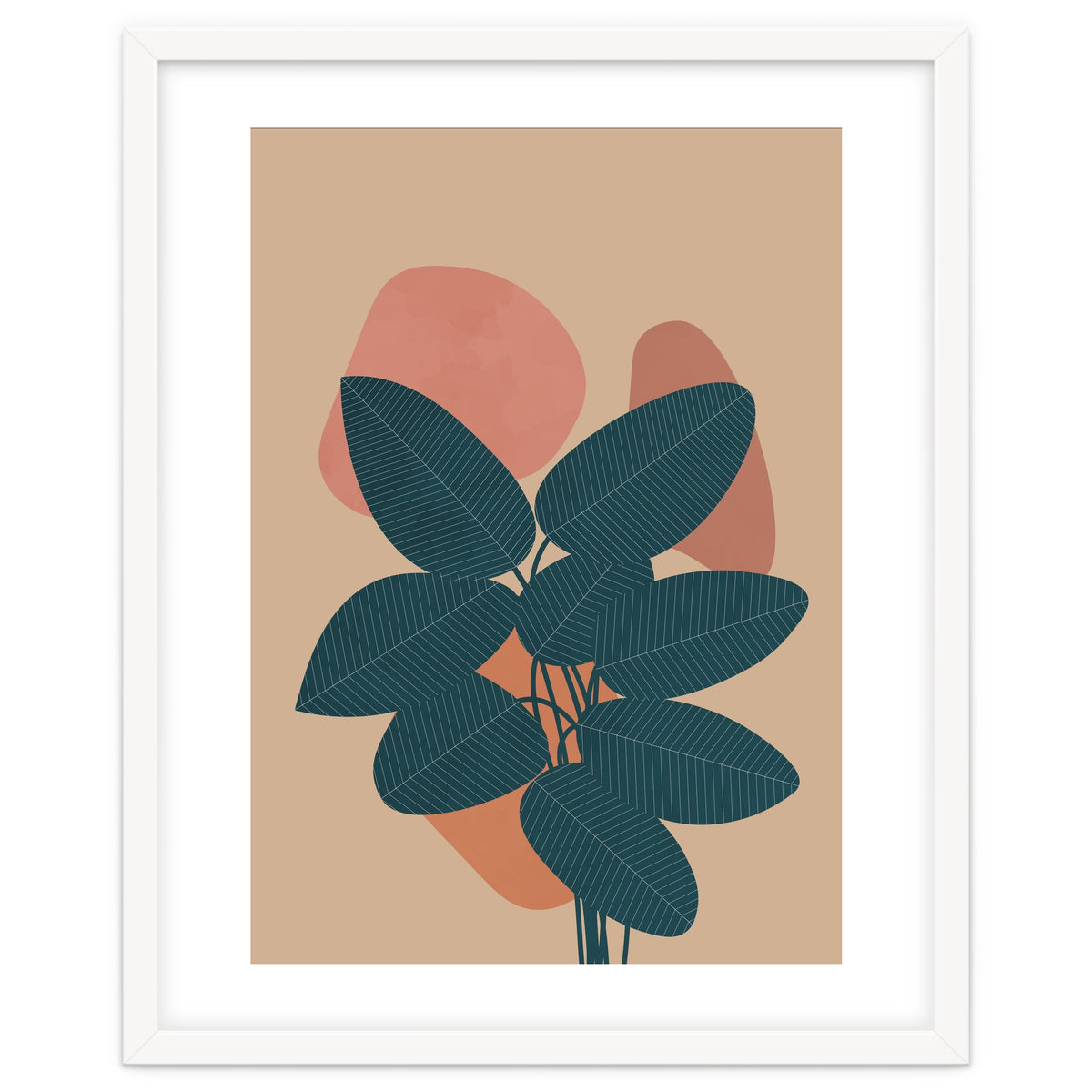 Rubber Plant Boho Botanical