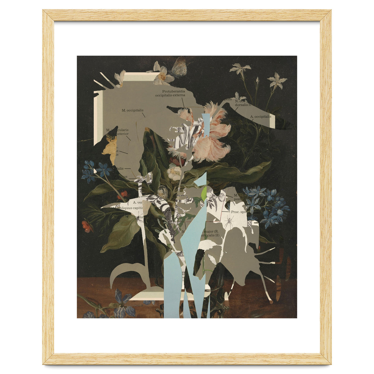 The First Plant · D2