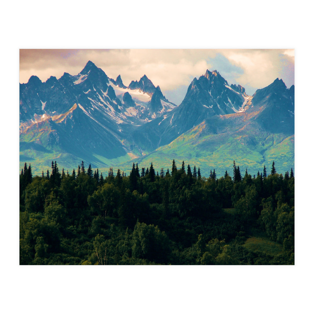 Escaping from woodland heights II (Print Only)