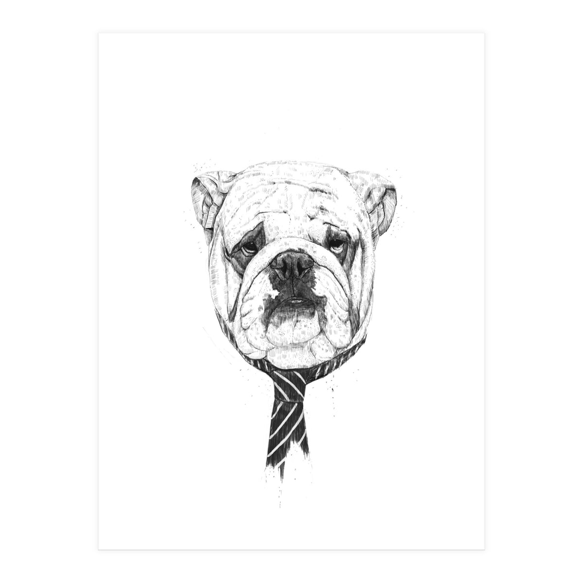 Cooldog (Print Only)