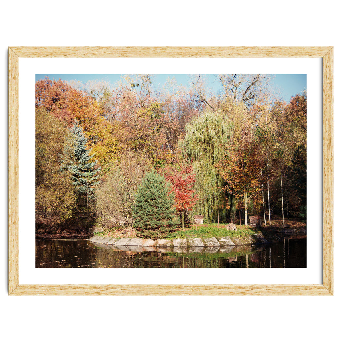 Transition from Summer to Winter