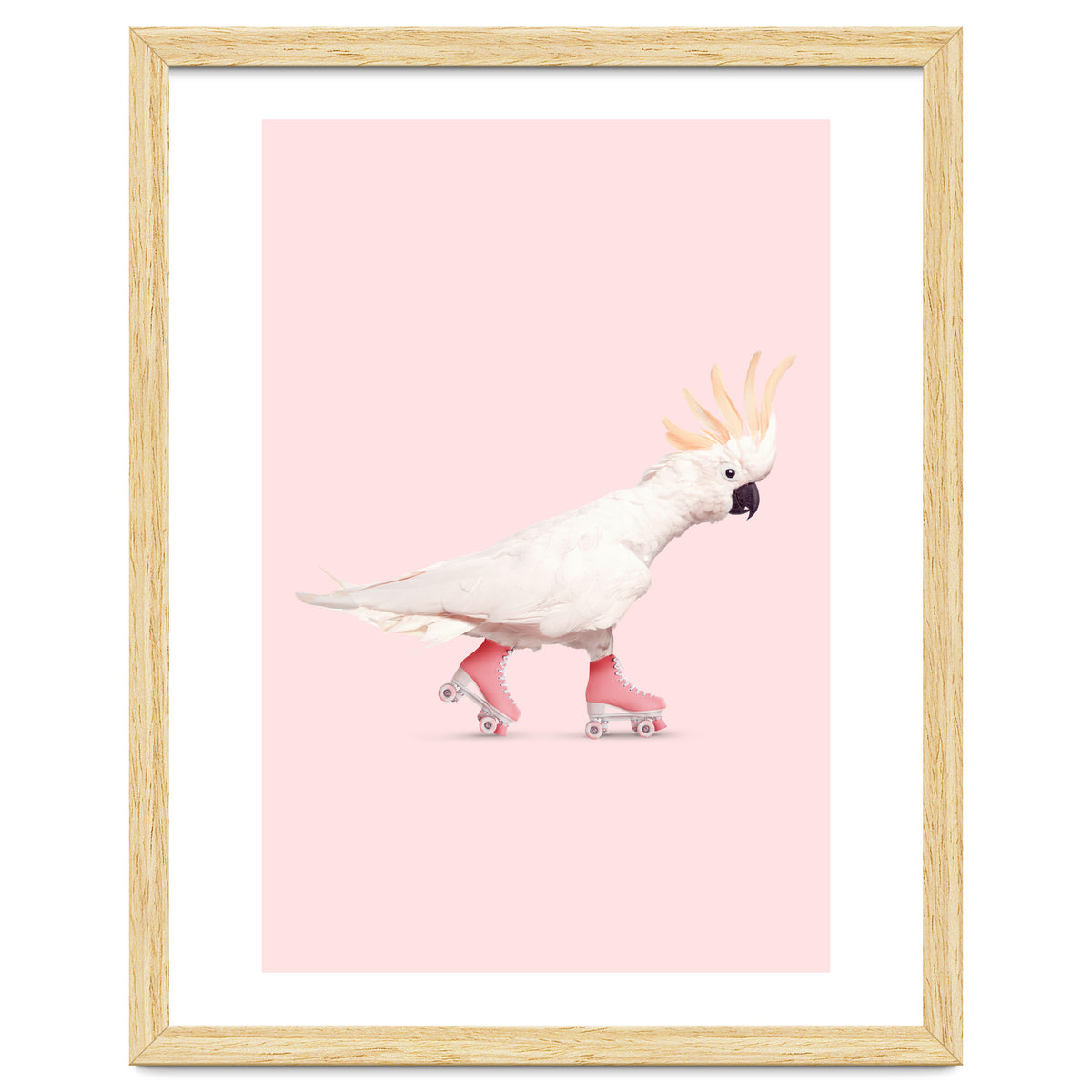 Rollerskating Cockatoo