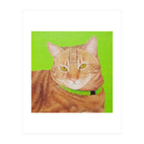 Ginger (Print Only) thumbnail