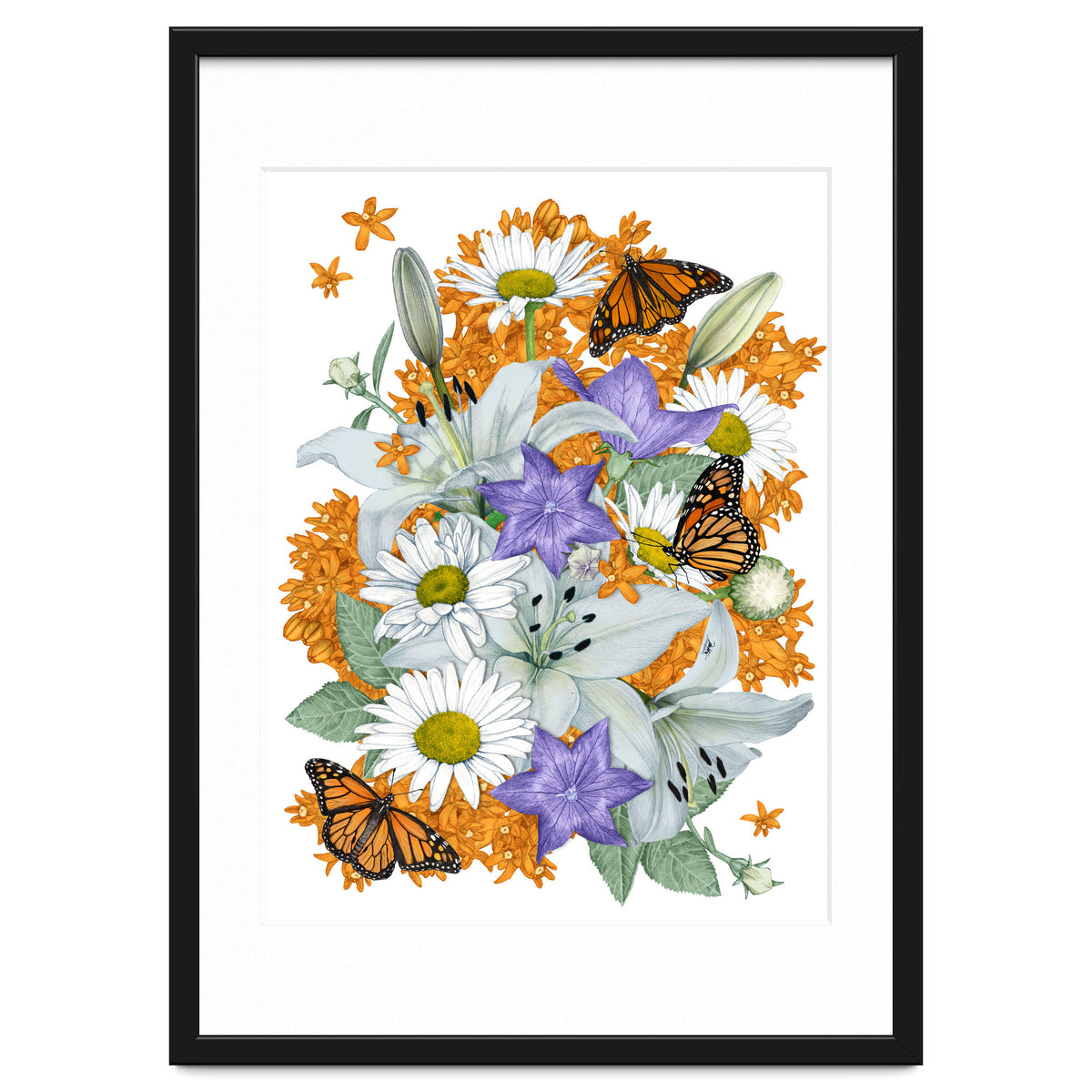 Lillies and Monarchs