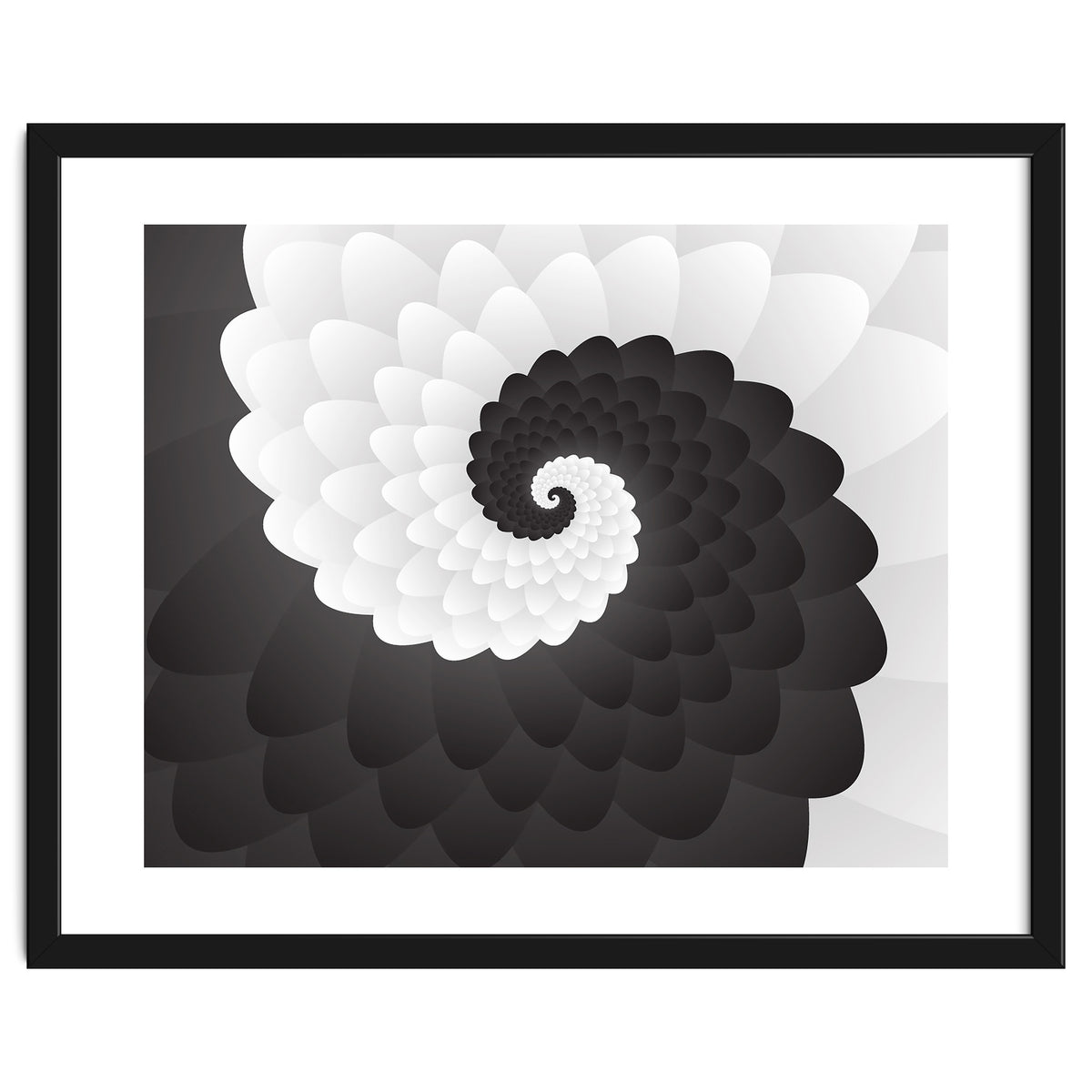 Mono Chrome Spiral Pattern